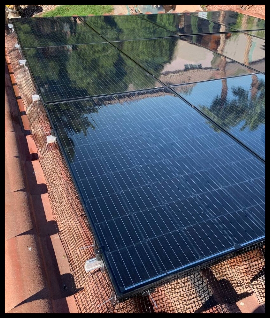 roof cleaning